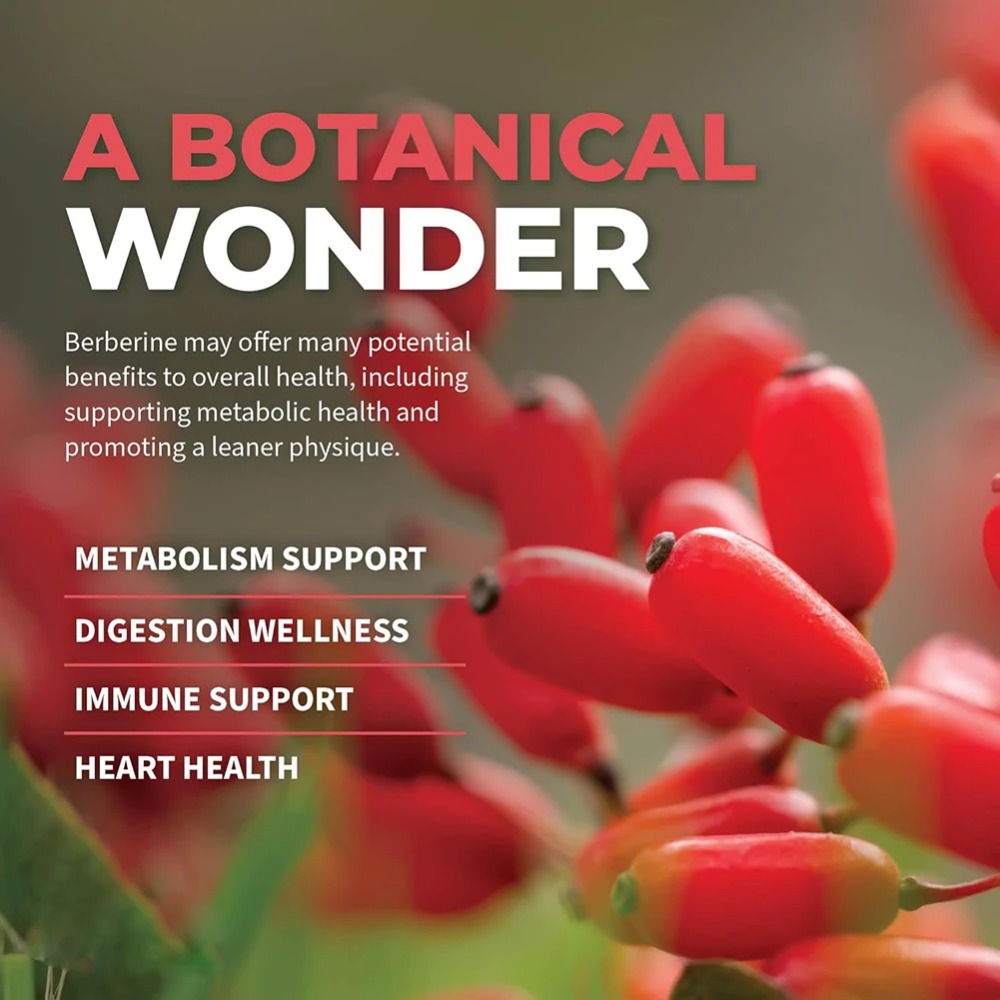 Berberine HCl with Ceylon Cinn - огляд і ціна Berberine Hcl Capsule
