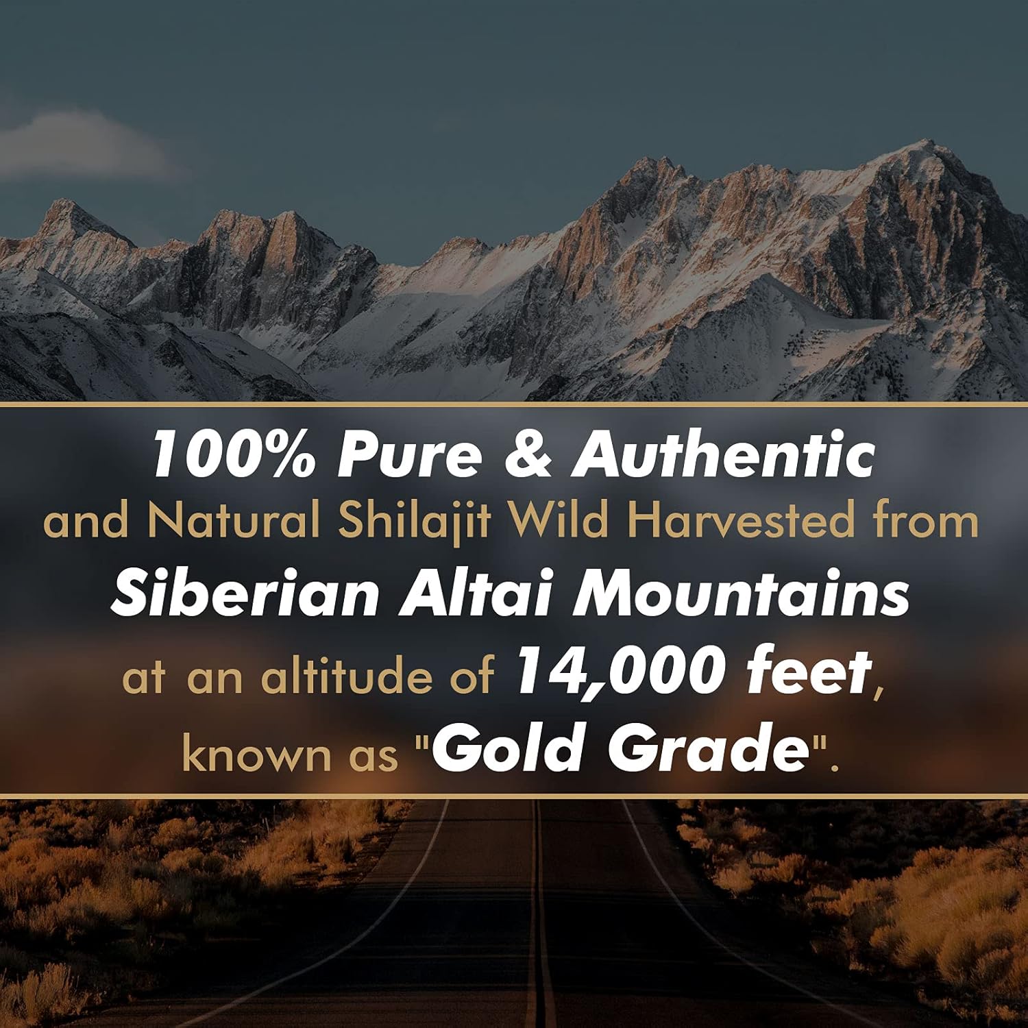 Original Pure Shilajit Resin w - огляд і ціна Shilajit Resin Pure
