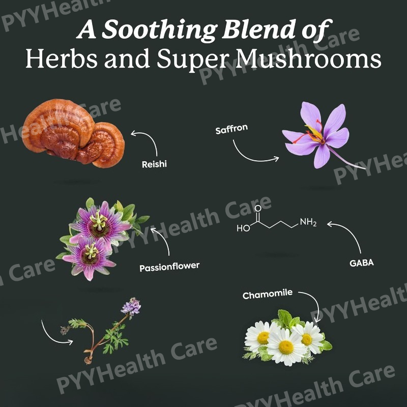 WonderSleep Mushroom Gummies S - огляд і ціна Melatonin Sleep Gummy